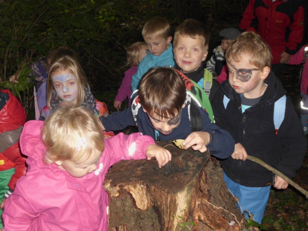 Der Natur auf der Spur - Expedition in den nahen Wald