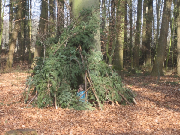 Tipi aus Tannenzweigen