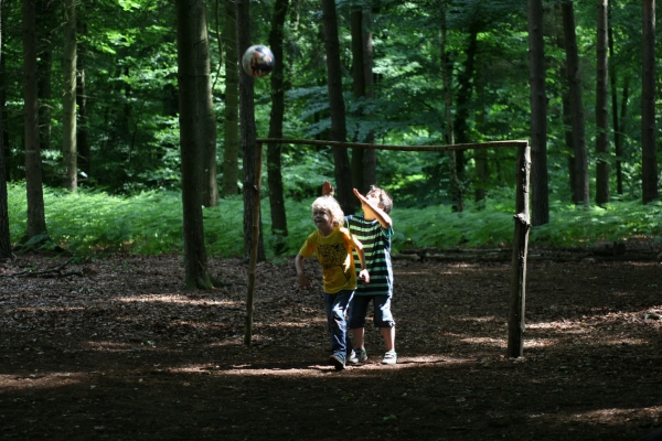 Fußball unterm Blätterdach