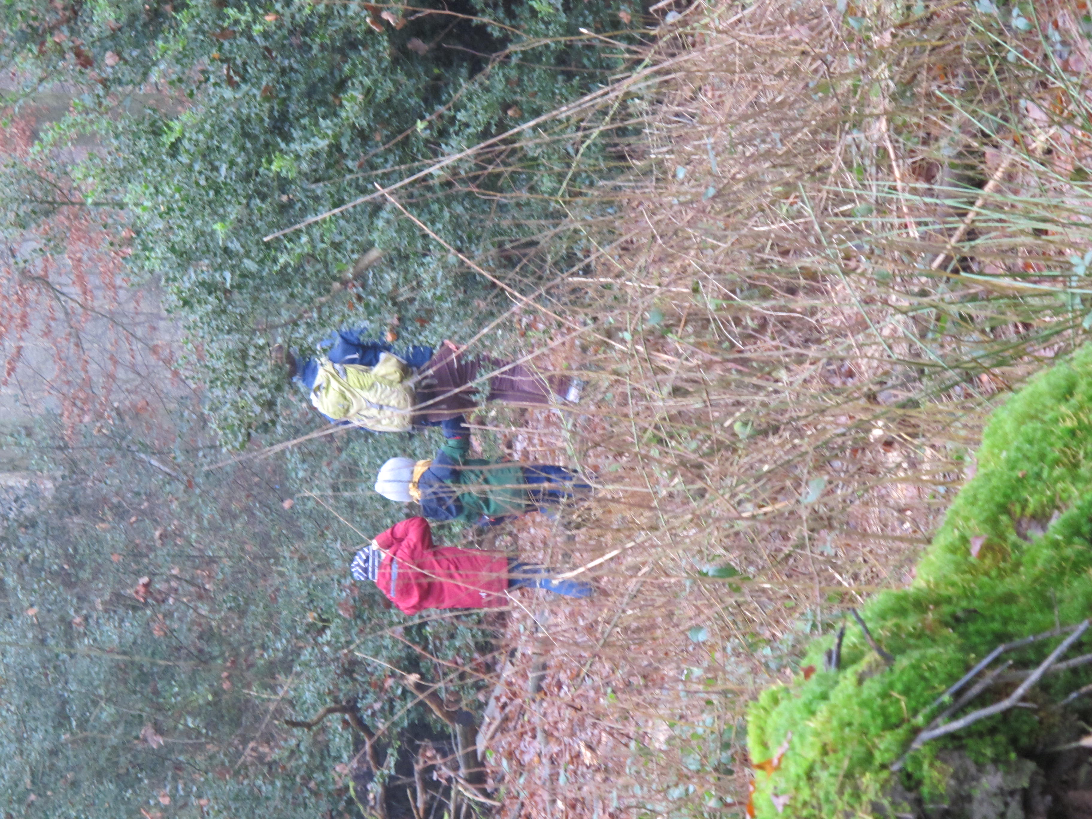 Wanderung durch den Herbstwald