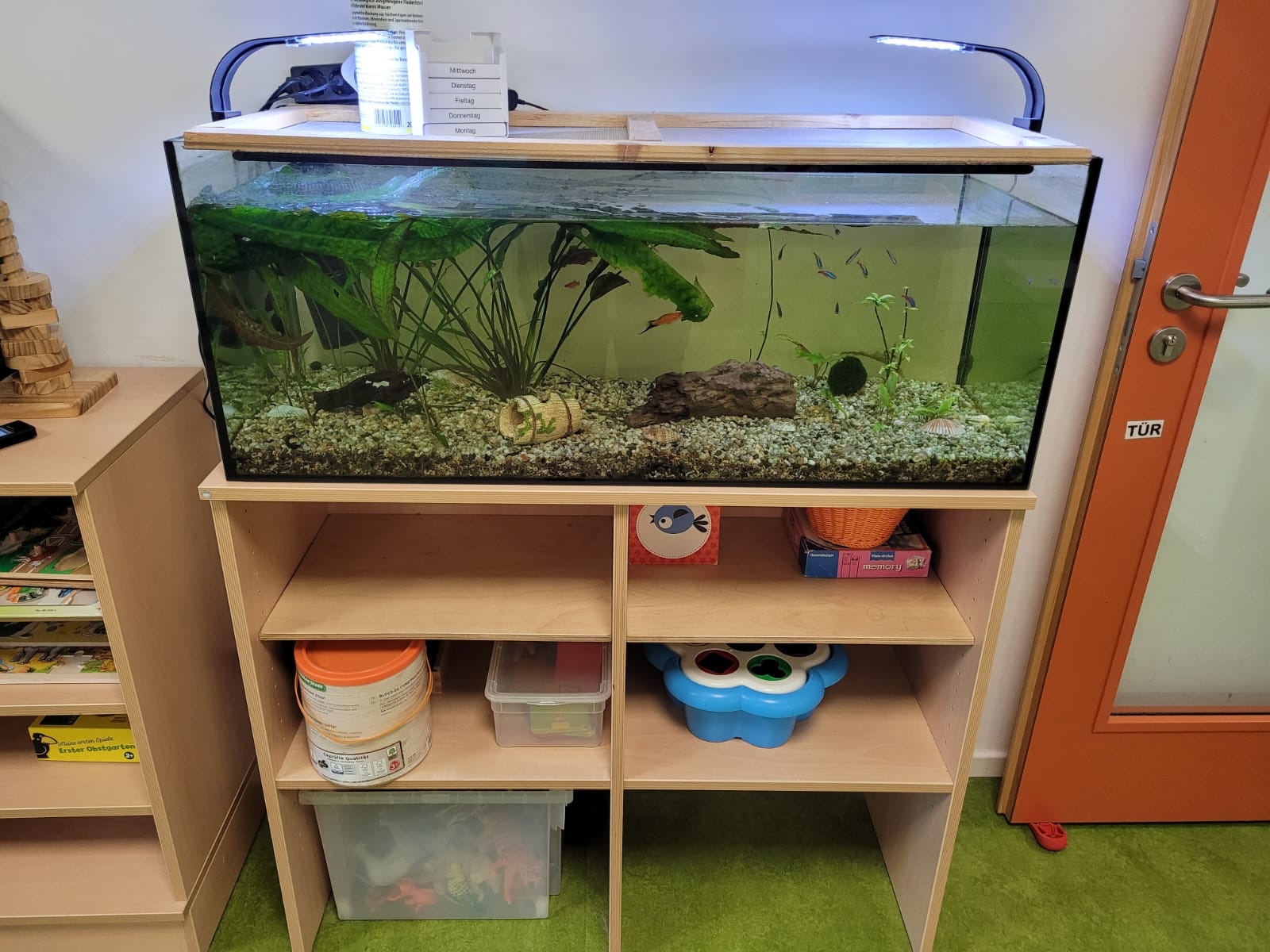 Aquarium