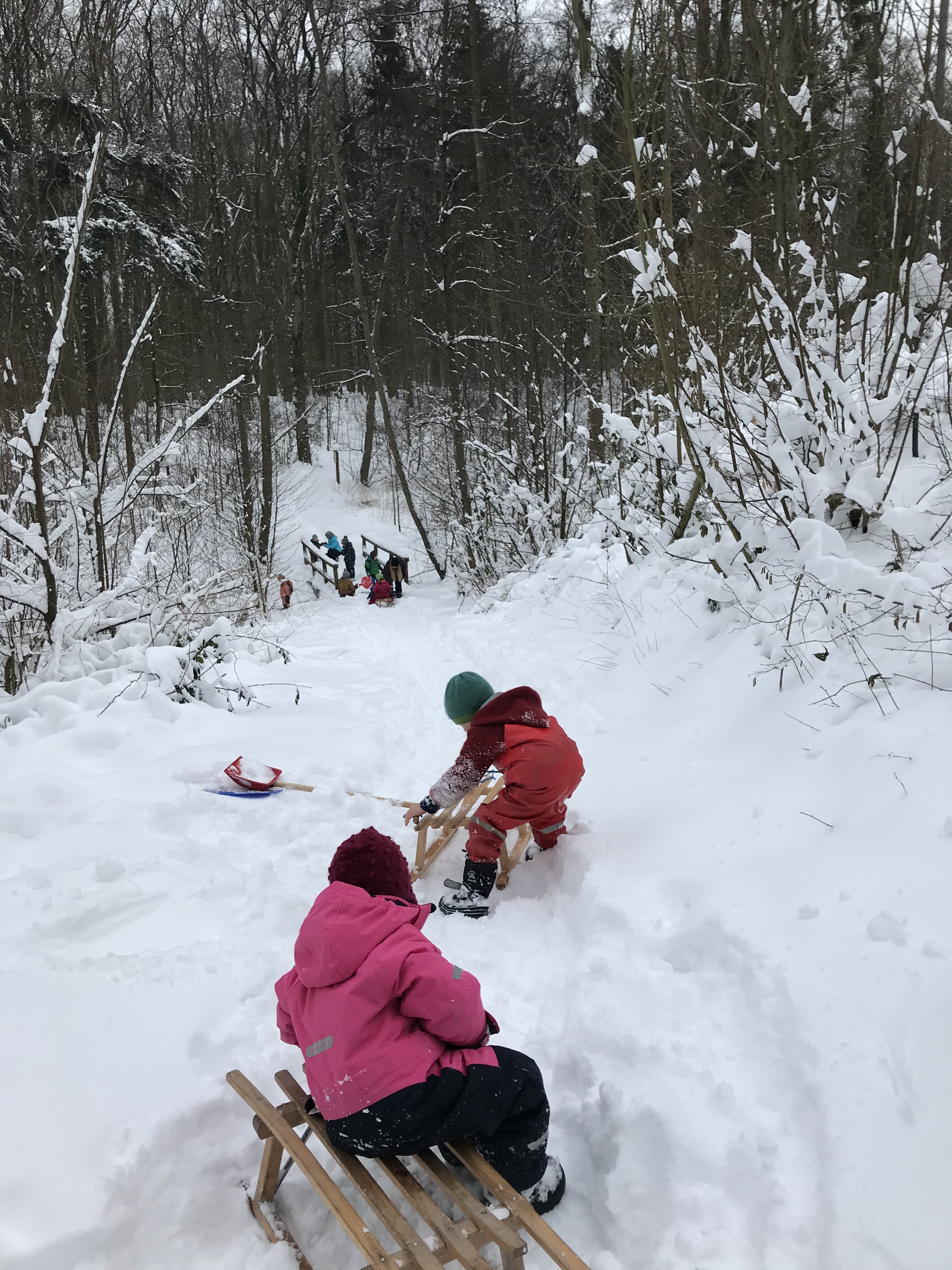 Schneespaß im Wald