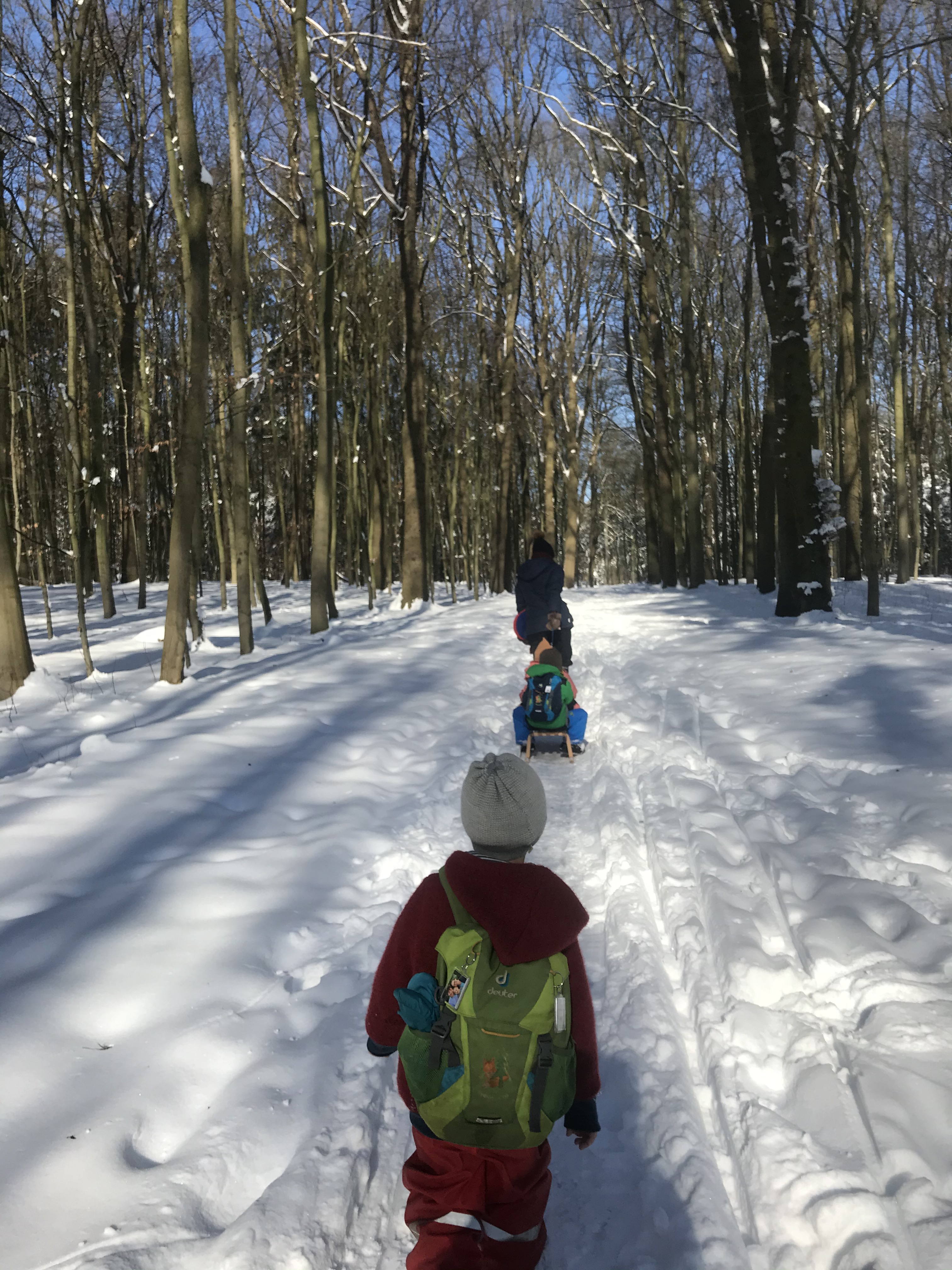 Auf dem Weg in den Winterwald