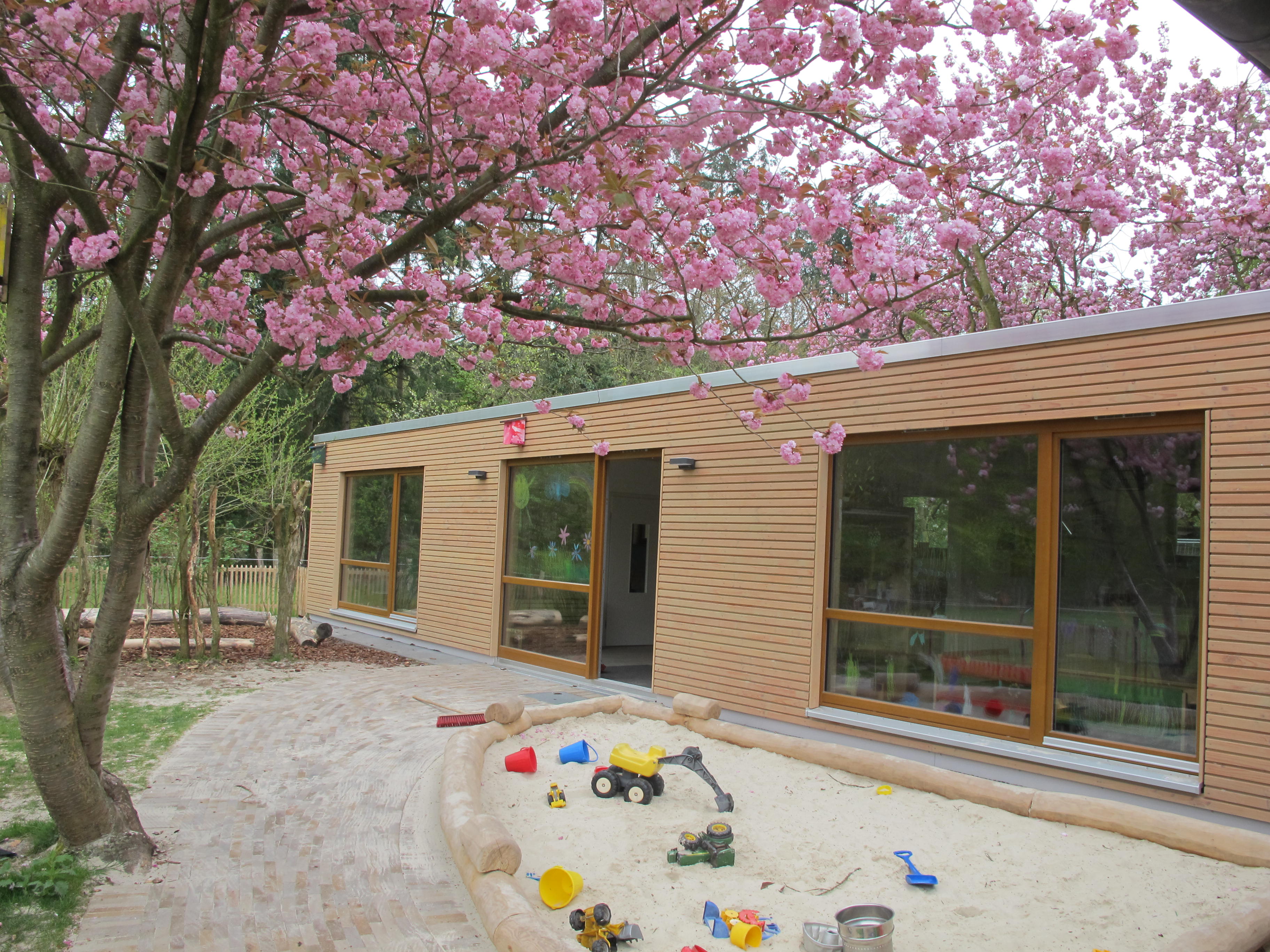 Kindergarten mit Blütenpracht